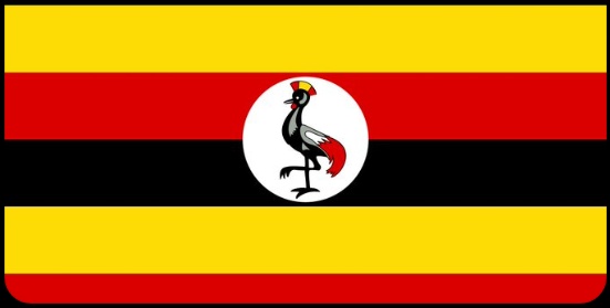 Uncle Chu tweet media