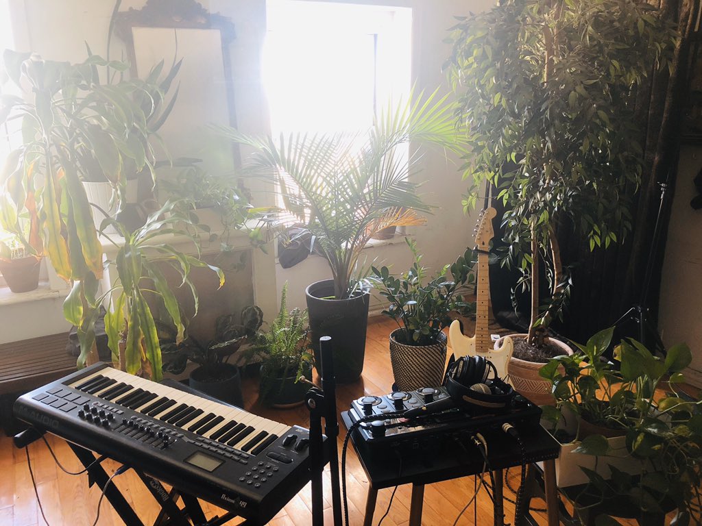 ✨w e l c o m e  t o  t h e  j u n g l e *✨

Gearing up for my YouTube live stream 8-9PM ET tonight

Live stream link available 30m prior at :: youtube.com/margotmacdonald
Show Donations :: streamelements.com/margotmacdonal…

*will not be covering Welcome to the Jungle