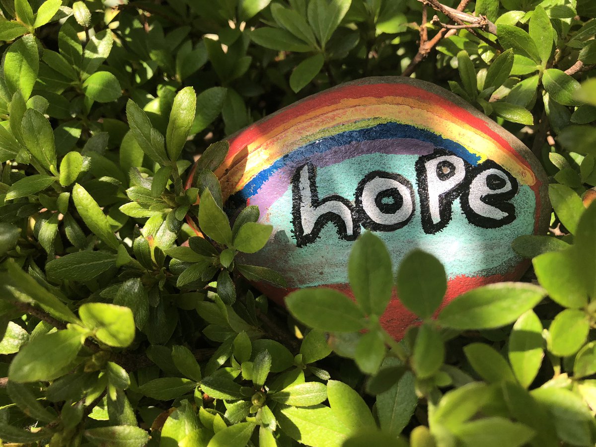 Hope rocks 🌈🌟my better-late-than-never attempt at our @WHSInnovation #artproject #rockart #hopefromhome #rampride @WhufsdRams @CornwellAveES