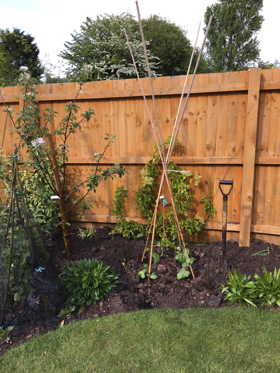 spbeevers's tweet image. ⁦@EWBlindGolf⁩ ⁦@SteveKills⁩ This is what we have to resort to when we can’t play golf!