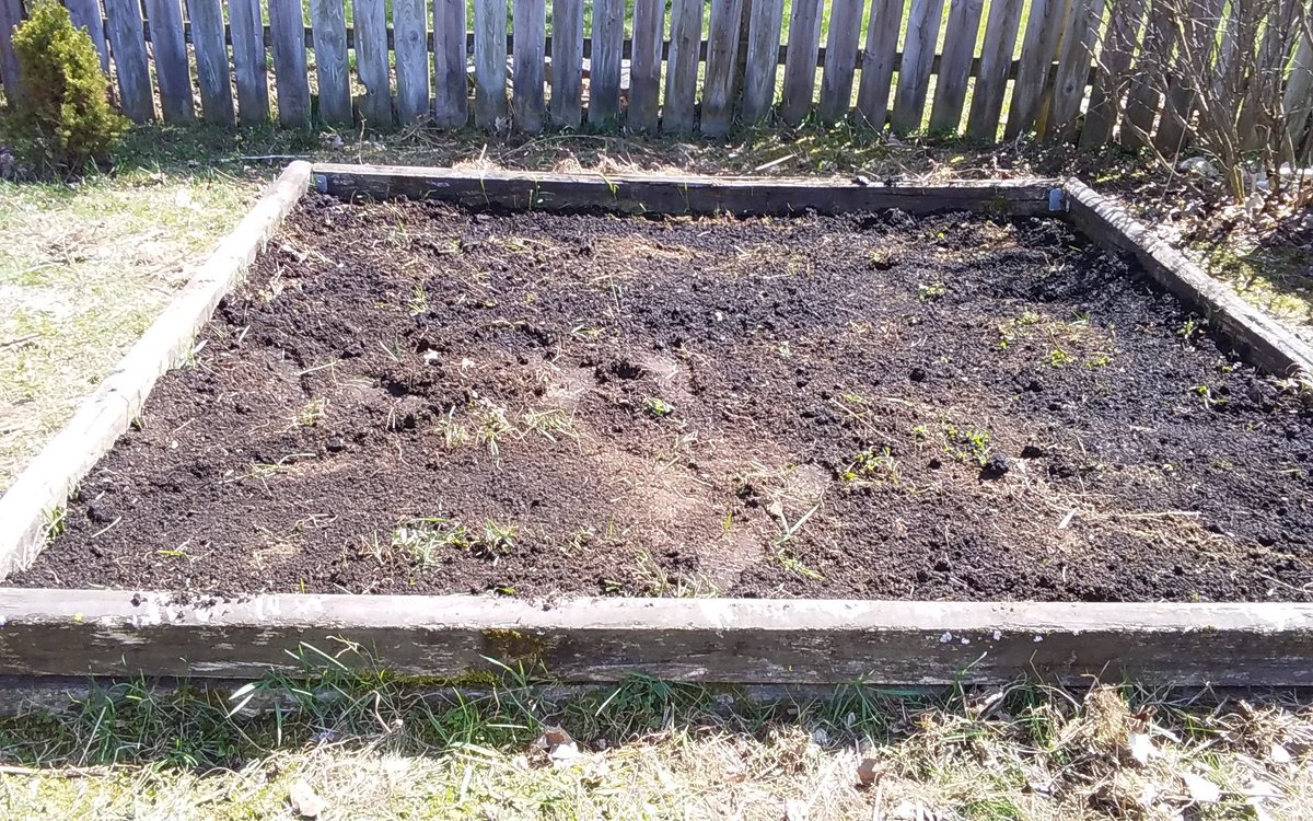 SickSpaceHair's tweet photo. My afternoon #quarentineprojects #gardening #onebigjobdone https://t.co/9iVhNuylw9