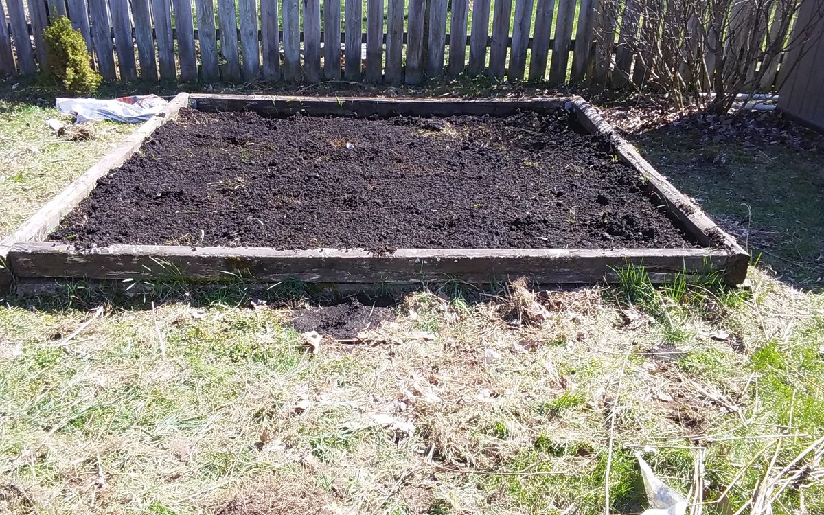 SickSpaceHair's tweet photo. My afternoon #quarentineprojects #gardening #onebigjobdone https://t.co/9iVhNuylw9