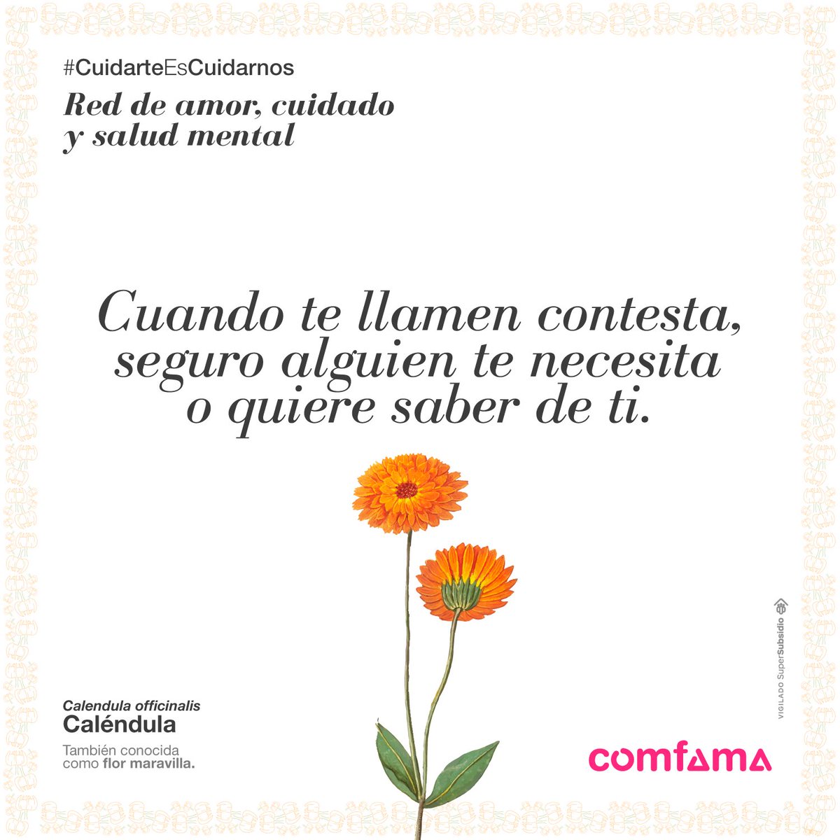 La desventaja de proteger tu corazón | Tracie Miles | {Encouragement for  Today}, image size:1200x1200