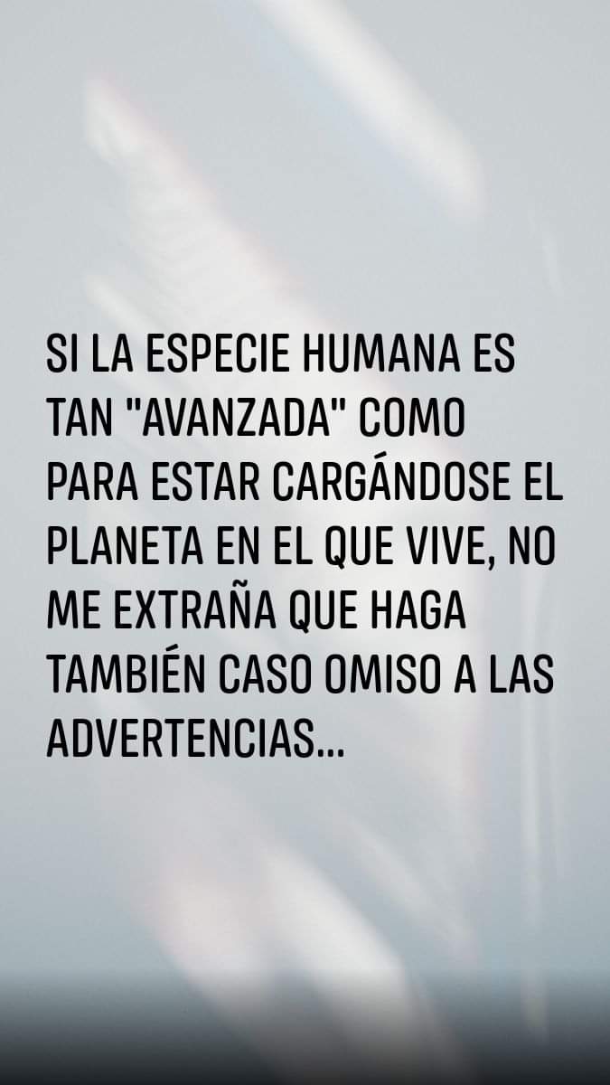 Pilar Jiménez García tweet media