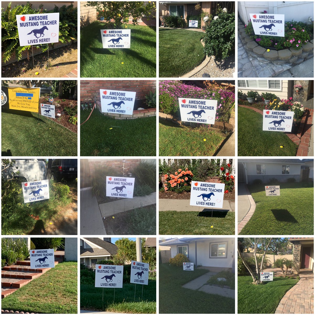 LCSMUSTANGS's tweet photo. Happy Staff Appreciation Week to our AWESOME Las Colinas’ teachers!! THANK YOU for all that you do for our kids. ❤️ Love, The Green &amp; Hatton Families &amp; PTSA 💙
#PVProud @PVSDCamarillo https://t.co/TMXaDtg4x6