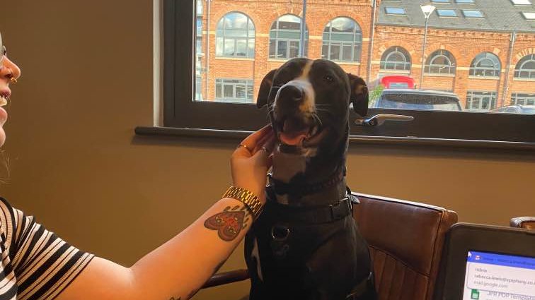 Greenleaf Animal Rescue tweet media