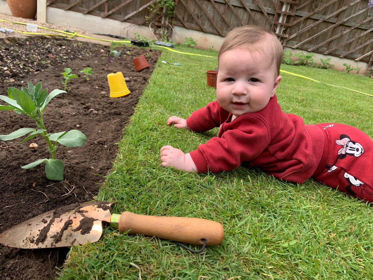 _LONDONSTONEsw's tweet photo. Had this little beauty for company at #AnHourADay today.  She wasn’t much help but great to have her there with me  ❤️ https://t.co/nY2WGeUYF7