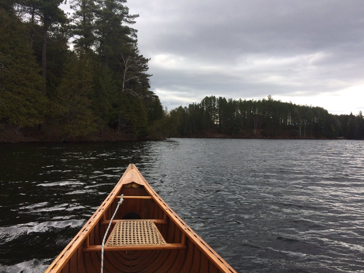 NipissingTrails's tweet photo. What a treat to have a little lake all to oneself, with beavers, loons and kingfishers for company. #firstpaddle https://t.co/rJZ2gmHfUX