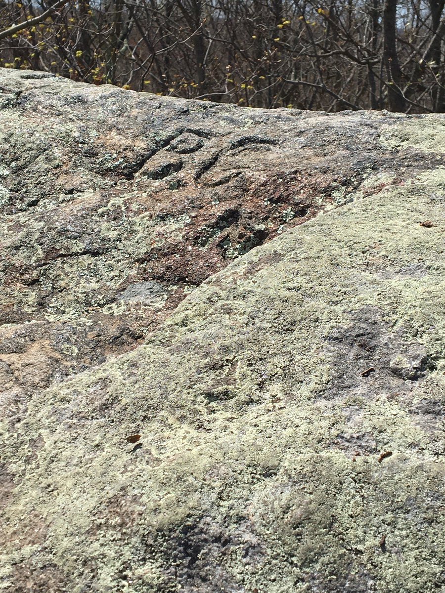 KRHornberger's tweet photo. 7 miles on the @CTwoodlands Naugatuck and Beacon Cap Trails with @dnlabell - longer than official mileage because we missed the turnoff for Beacon Cap and had to backtrack. Quiet trails this morning! #StaySafeOutdoors #CTTrailsLessTraveled https://t.co/N3QXUcNe8z