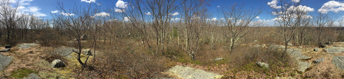 KRHornberger's tweet photo. 7 miles on the @CTwoodlands Naugatuck and Beacon Cap Trails with @dnlabell - longer than official mileage because we missed the turnoff for Beacon Cap and had to backtrack. Quiet trails this morning! #StaySafeOutdoors #CTTrailsLessTraveled https://t.co/N3QXUcNe8z