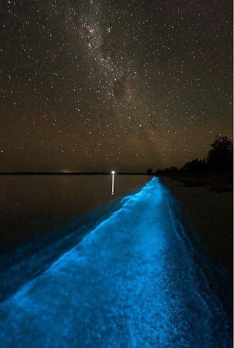 Harika bir yakamoz.. Mosquito Bay, Viequez, Puerto Rico