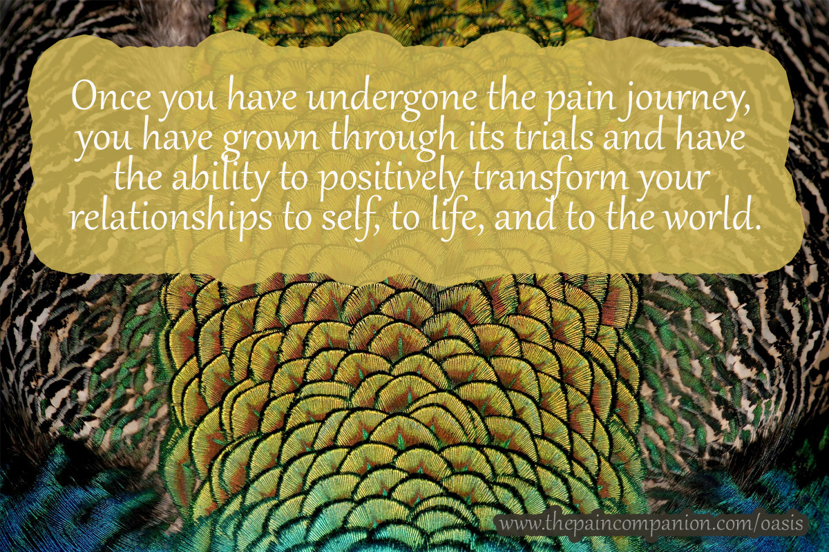 ThPainCompanion's tweet photo. #hope #chronicpain #chronicillness #fibromyalgia #positivity #quotes #thepaincompanion https://t.co/dZ2EKvCrX0