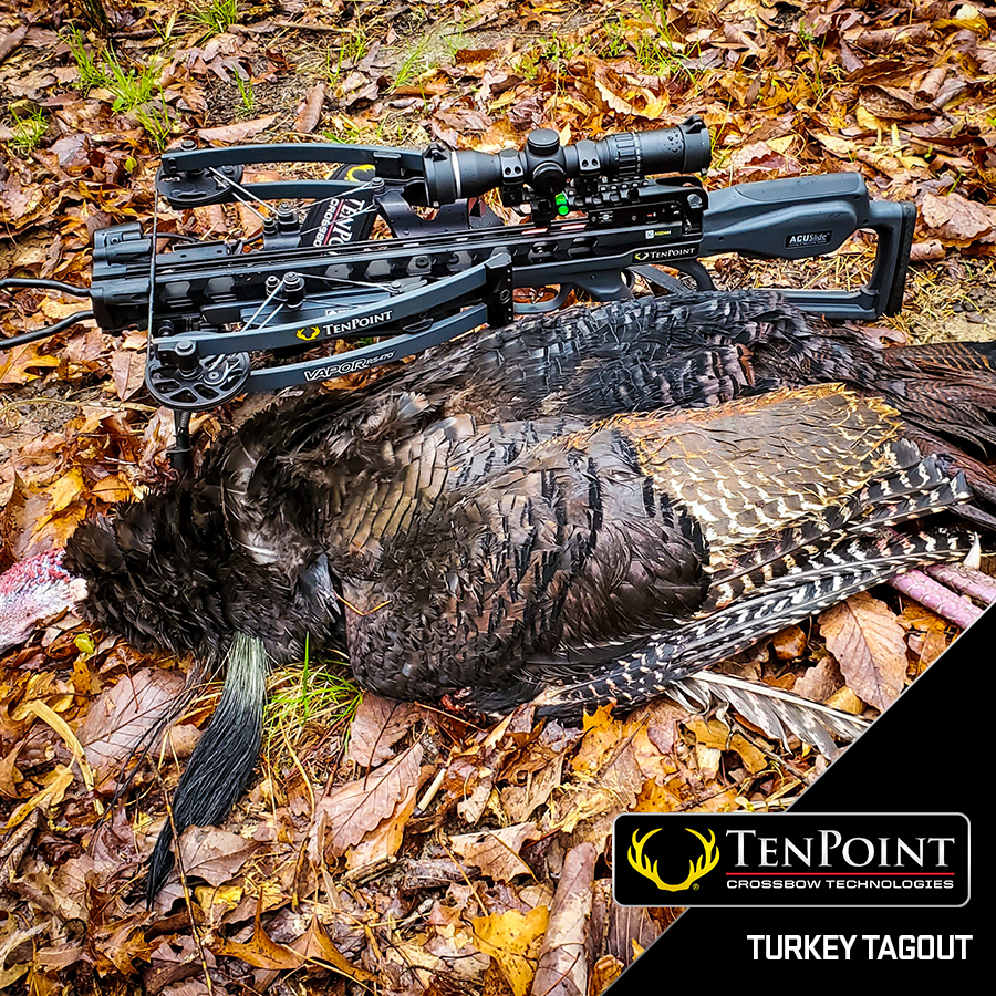 During these unprecedented times, it has been AWESOME to see the turkey harvests rolling in from our customers! Check out a few of them.

We encourage you to stay active, get outside, and do some turkey hunting!

Don’t forget to use #tenpointcrossbows and send us your photos!
