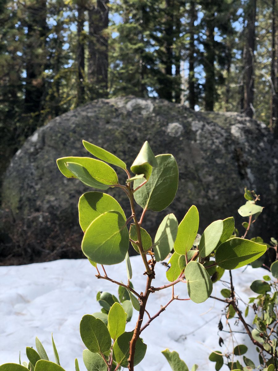 Oscar Medina tweet media