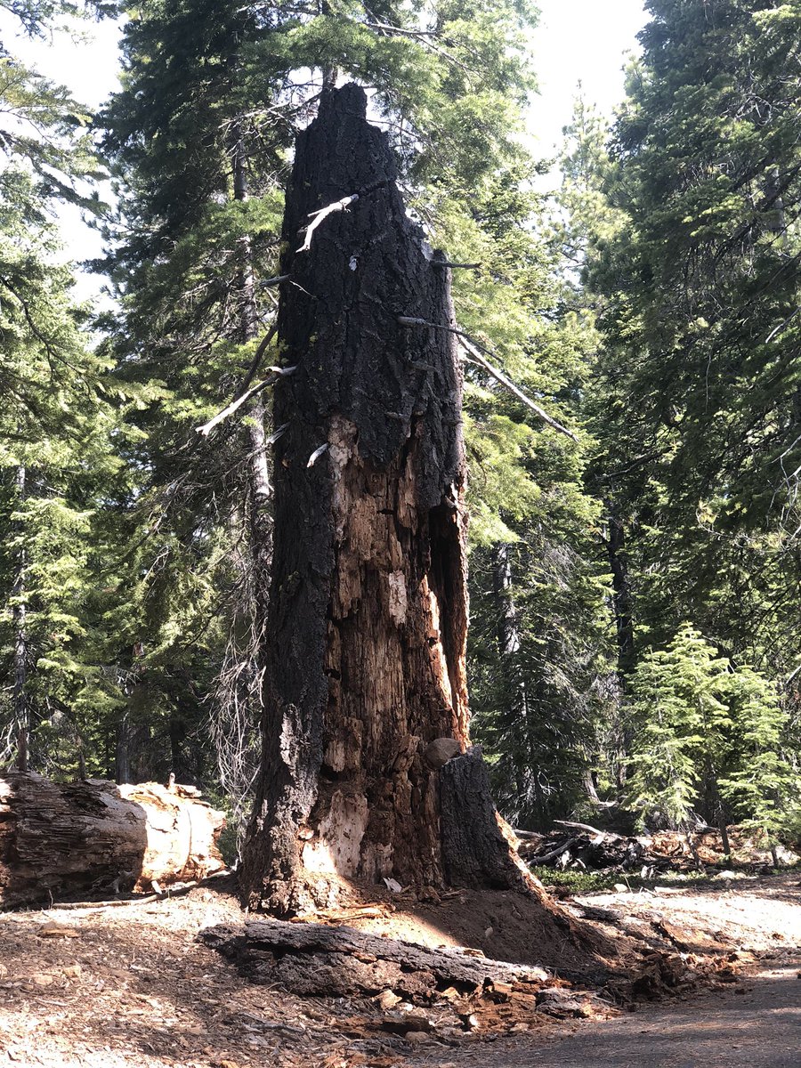 Oscar Medina tweet media