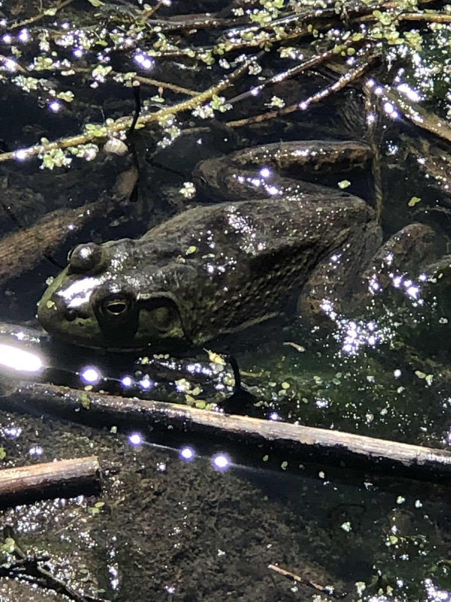 KitDailey_EUA's tweet image. Gorgeous day to be outside WI! #KeepOnEnjoyingOutdoors #KeepOnWI @KeepOnWi