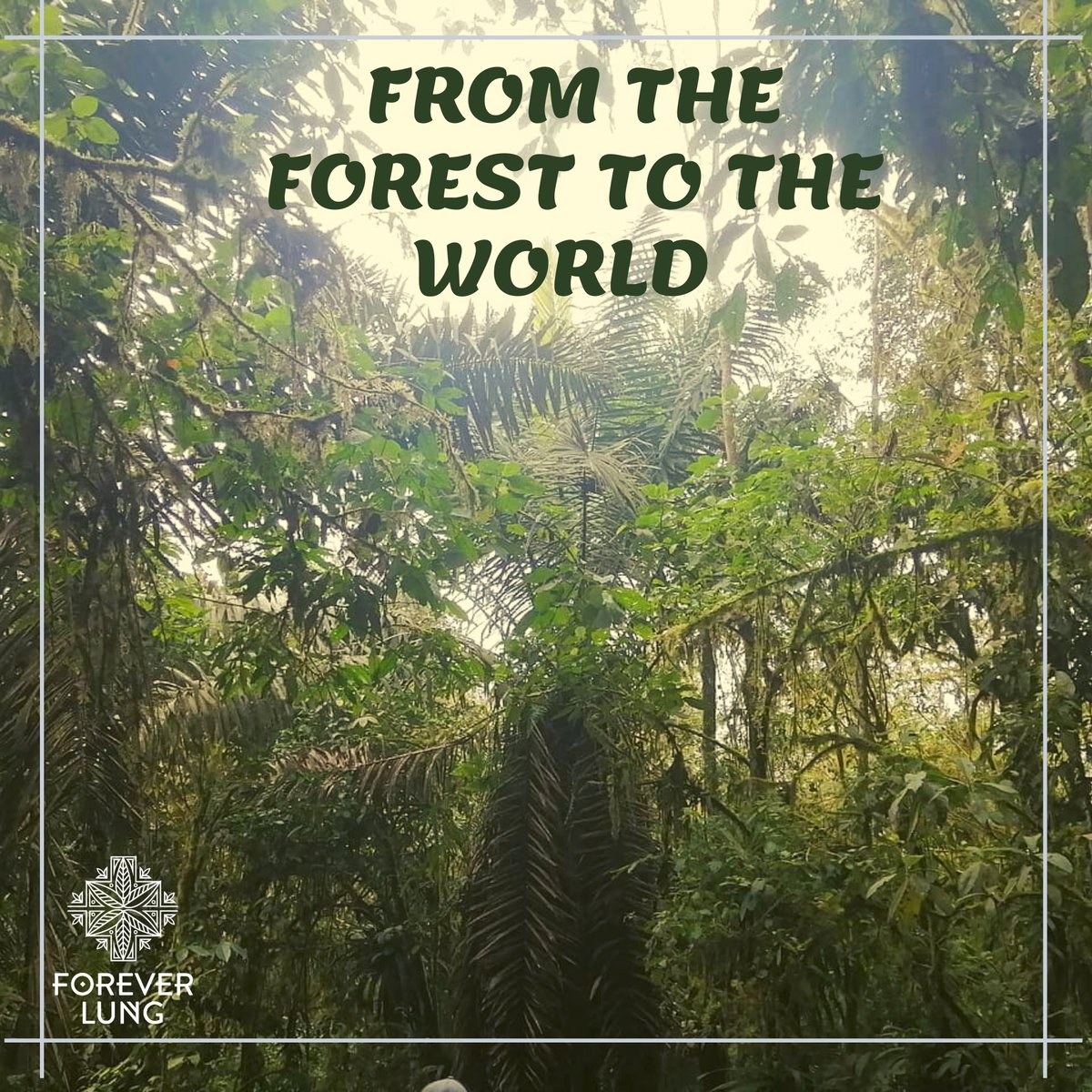 4everlung's tweet photo. Vegetable ivory helps reduce pollution on our planet and is also a substitute for plastic. It is our responsibility to preserve it.
And you, do you already know it?
We invite you to be part of this initiative.
#usetagua https://t.co/b7Wa2tXyG3