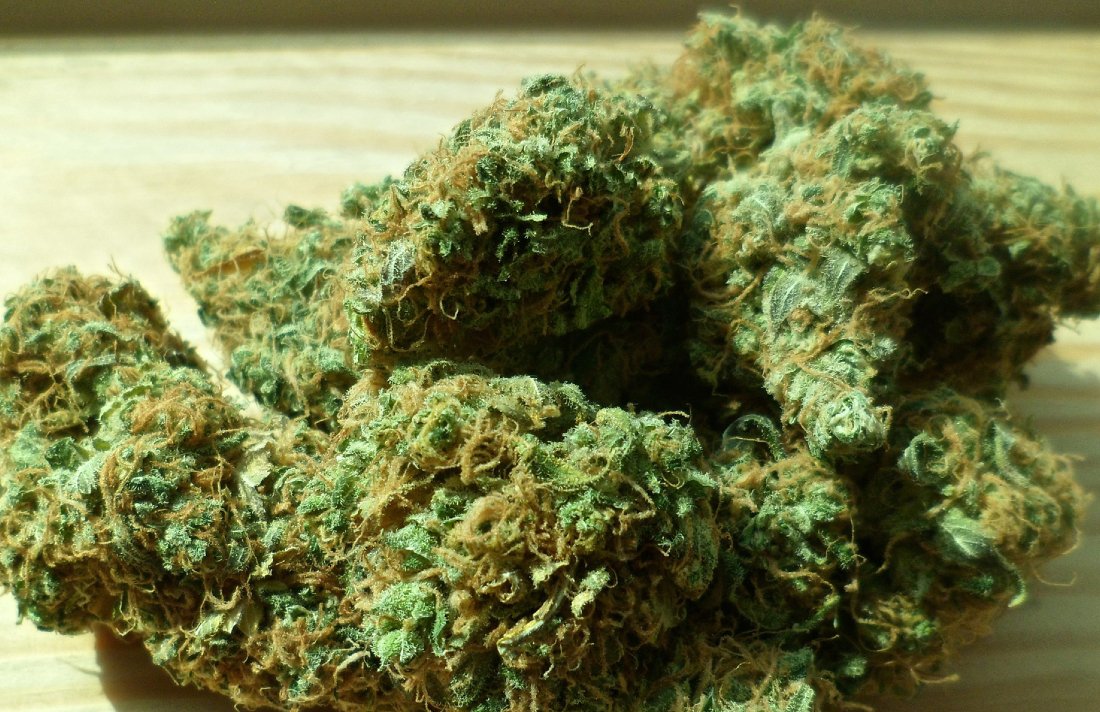 Cannabis Culture tweet media