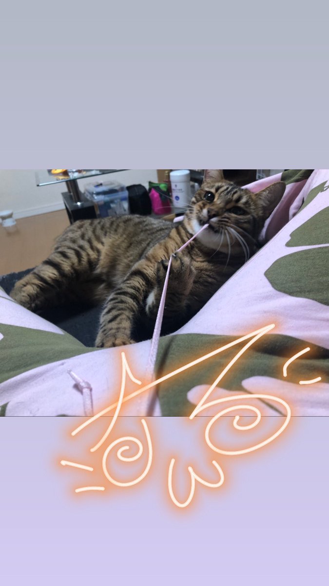 TENSAINEKOSAMA's tweet photo. ぼくのサイン https://t.co/eCxQc9UC9s
