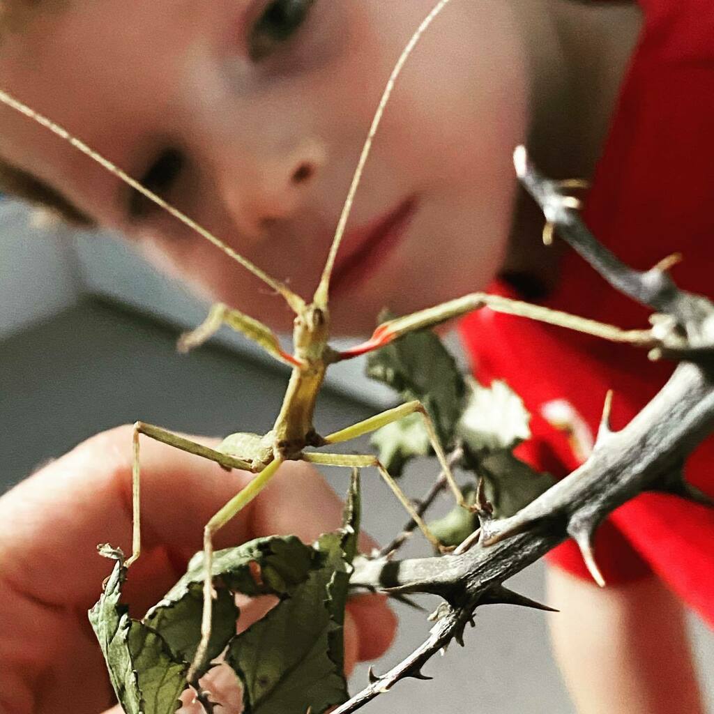 Tomsetter's tweet image. Fred instagr.am/p/B_vQcManMLOc…