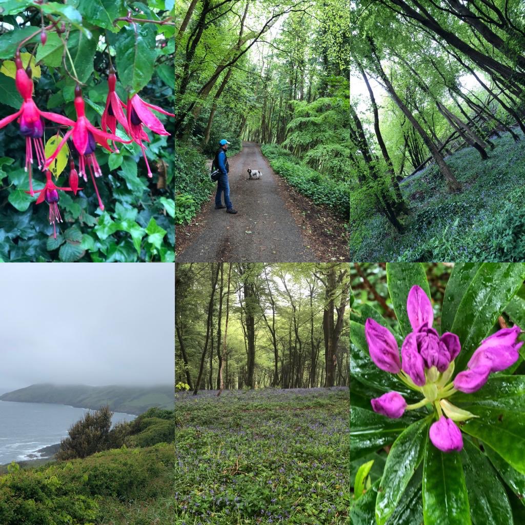 Had a chance at last to appreciate what we have on our doorstep today with @elliott_shelley very lucky.