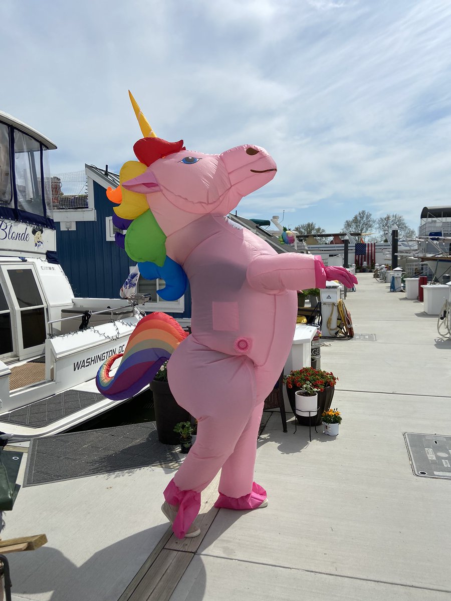BlatnerGretta's tweet photo. All is fun and games until the unicorn shows up #unicorn #swdc https://t.co/7nKEBOgzGh