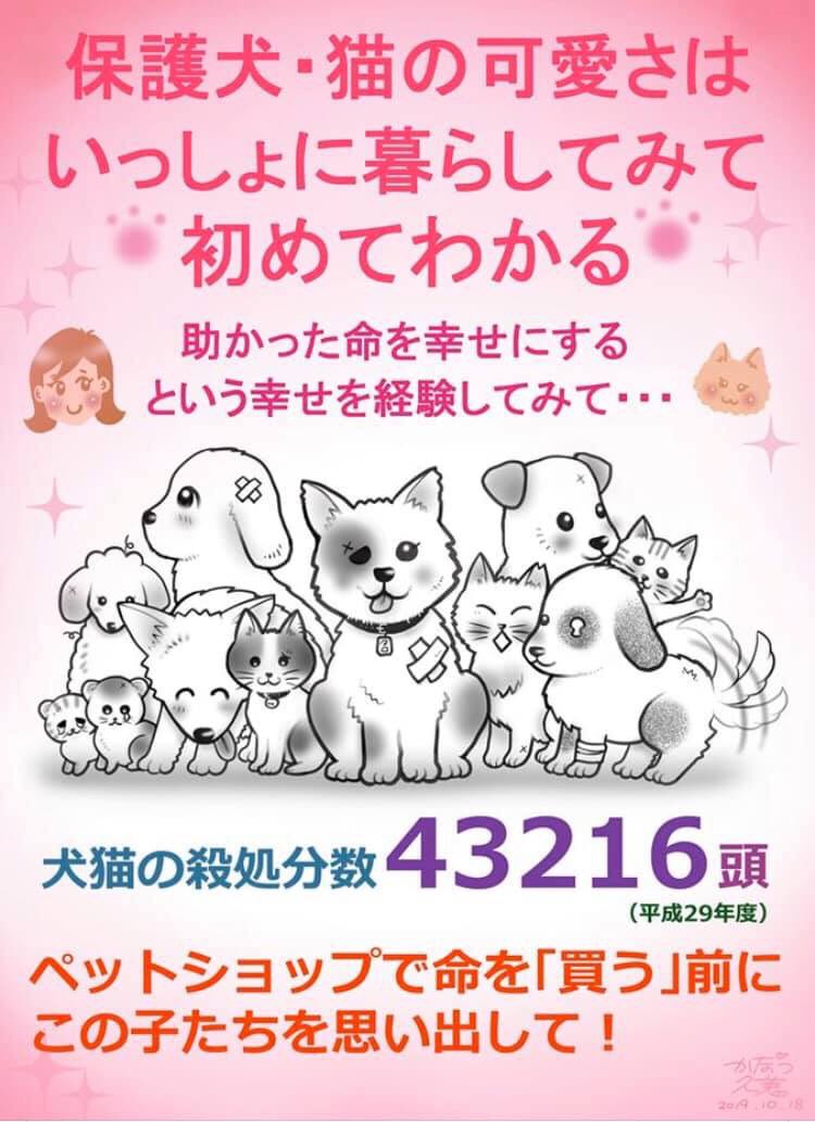 fVSzOlKtQp0WNVG's tweet photo. ペットショップでなくても、保健所やセンターから迎えれる命があります😌✨一度家族として迎えたなら、一生涯寄り添うという責任も一緒に身につけて下さい🌸ペット達からのお願いです❤️ https://t.co/JaRgJk5n9O