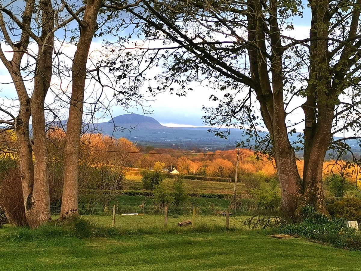 LoveBallymena's tweet photo. #Rathsherry Windmill Farm, #Broughshane.
#RathsherryViews #LOVEBallymena #LoveMEA
๐ธ Claire Witherspoon https://t.co/OKl3Ercc0i