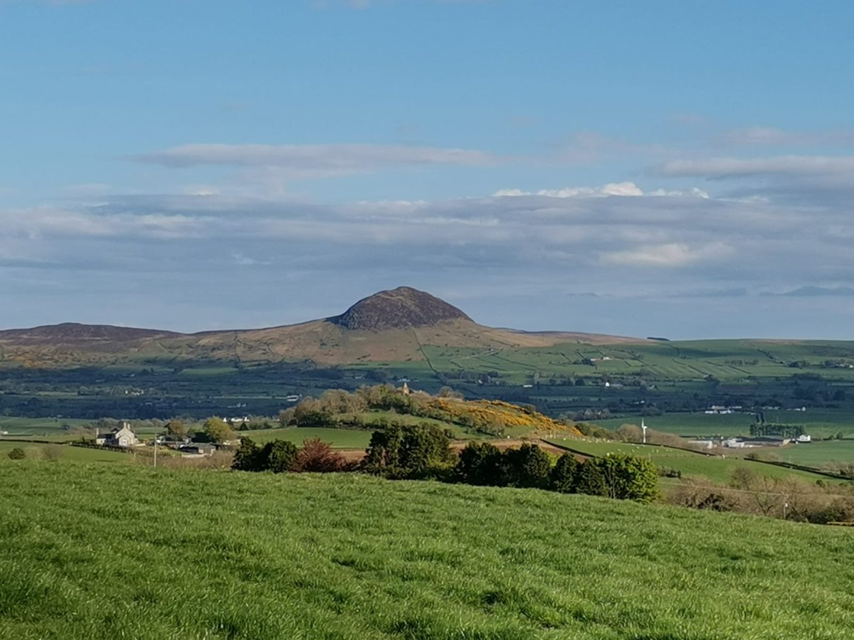 LoveBallymena's tweet photo. #Rathsherry Windmill Farm, #Broughshane.
#RathsherryViews #LOVEBallymena #LoveMEA
๐ธ Claire Witherspoon https://t.co/OKl3Ercc0i