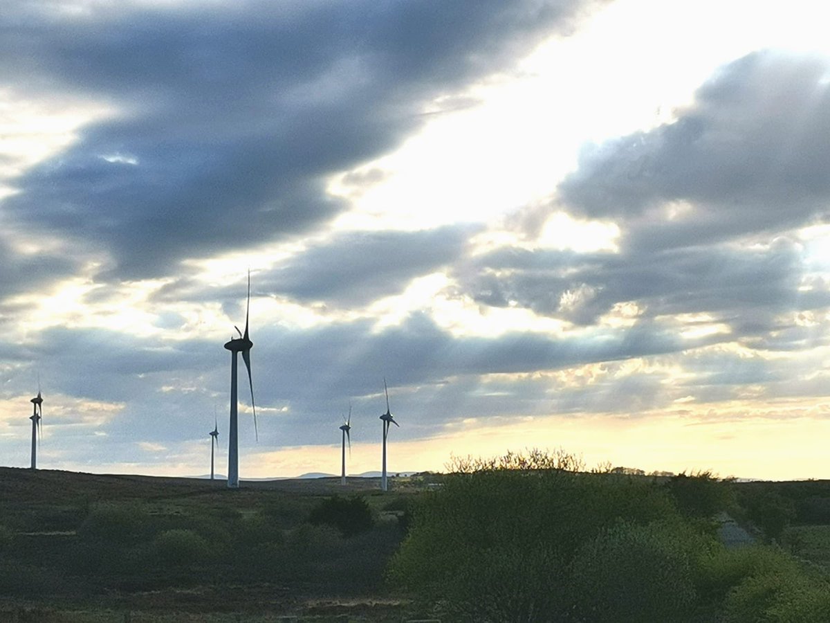 LoveBallymena's tweet photo. #Rathsherry Windmill Farm, #Broughshane.
#RathsherryViews #LOVEBallymena #LoveMEA
๐ธ Claire Witherspoon https://t.co/OKl3Ercc0i
