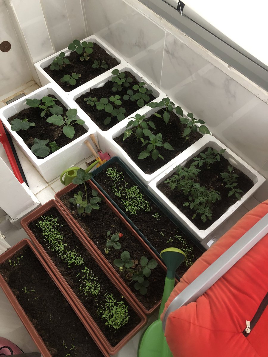 Bizde balkonda üretiyoruz sayın valim