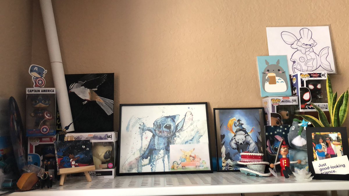 heres_happyness's tweet photo. Just wanted to show off my nerd shelf because it’s finally all displayed nicely.  What does your nerd shelf look like? https://t.co/8E2bqi7JxD