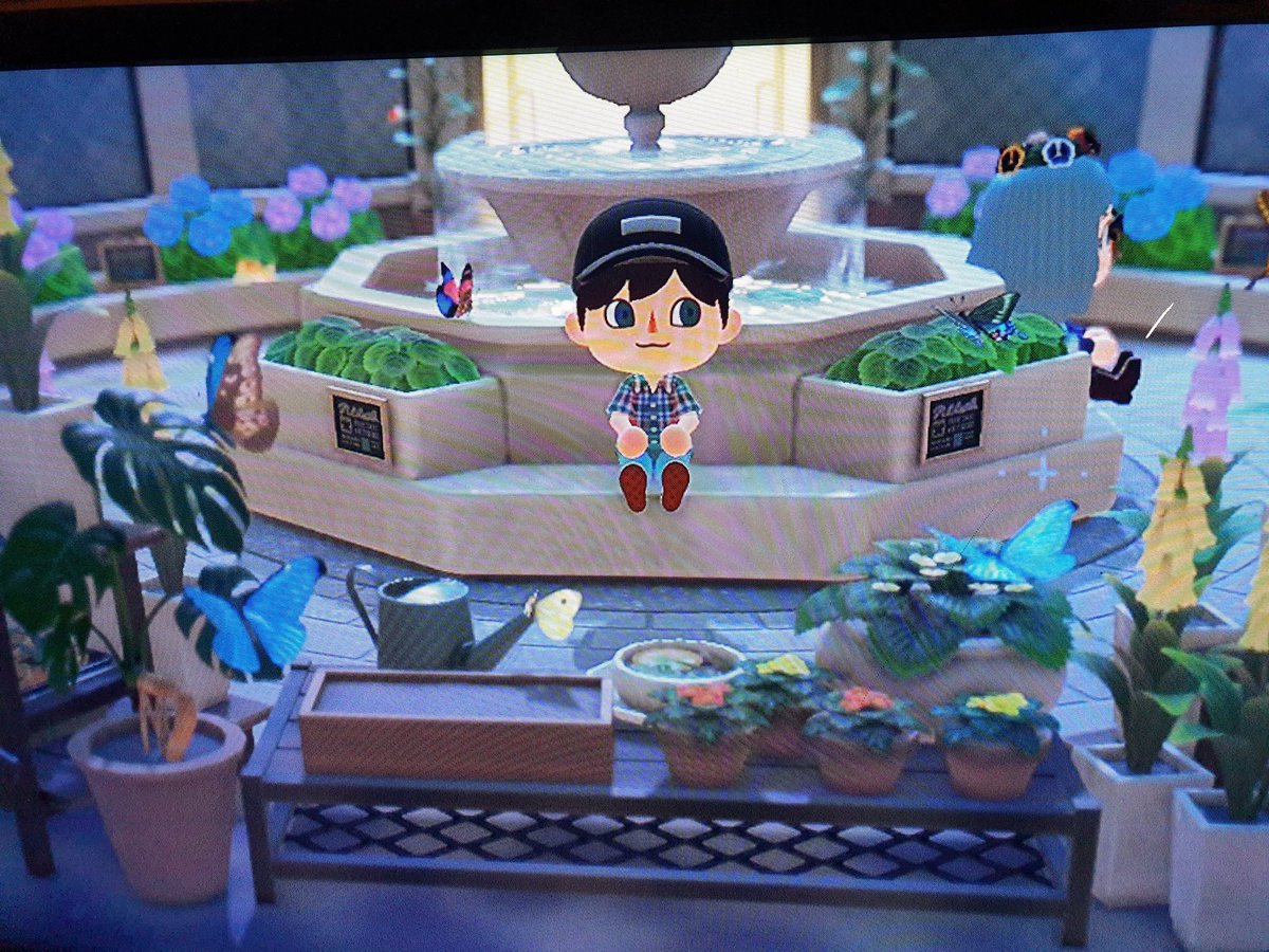 WhingingSydney's tweet photo. I went on a virtual date today in Animal Crossing! 
It was fantastic! She was funny, sweet, kind and considerate. She took me on a tour of her island, we perused the museum, and had tea on the beach.
I couldn't emote as I had just started the game, but she knew I enjoyed myself. https://t.co/EQHTNIc8Oe