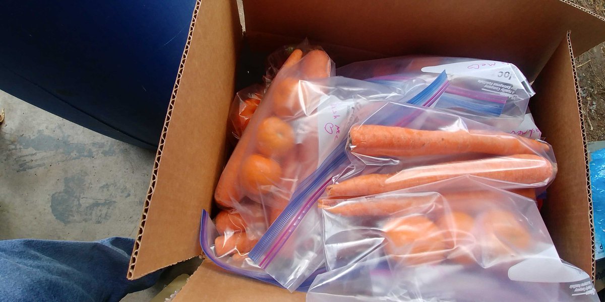 Today, Southern Oregon SRA members sent out food care packages w/ fresh fruit, veggies, beans, &amp; farm fresh eggs to 5 families. This is our second such delivery.

We Protect Us!

#MutualAid
#DisasterRelief
#Covid19