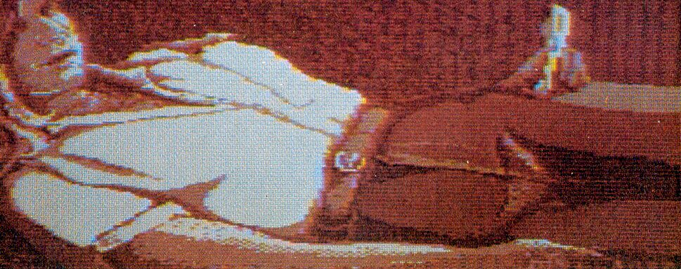 vsg_DE's tweet image. Grüße von der Southfork-Ranch! Hier ein kleiner Retro-Flashback zurück in die 1980er Jahre: "Das Heimcomputerjahr 1984" ☺️ videospielgeschichten.de/das-heimcomput… #Heimcomputer #Homecomputer #Computerspiele #Videospiele