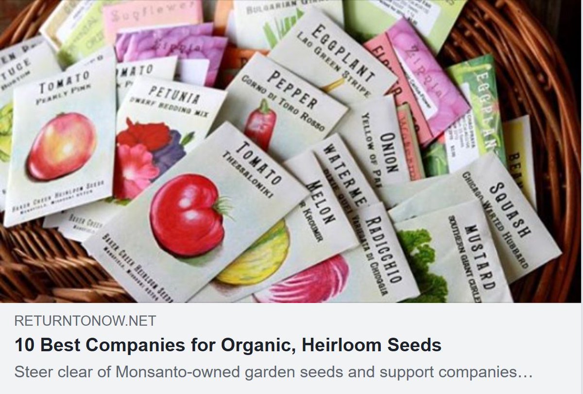 SproutGardens's tweet photo. These are excellent sources for organic and heirloom seeds. Sprout uses Johnny’s, Southern Exposure, and Seed Savers, so we can attest to their quality. #seeds #organicseeds #heirloomseeds  #growyourownfood  https://t.co/WjyZQaJdQY https://t.co/BCPMdAW6Tj