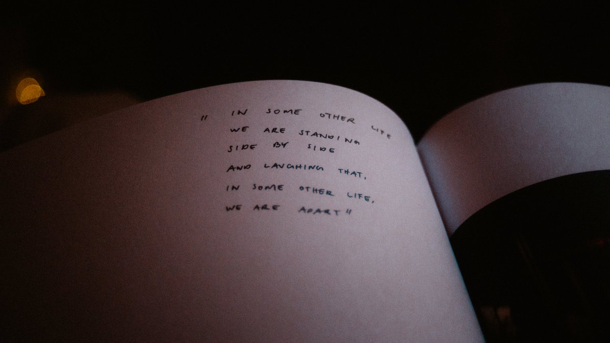 maxluedi tweet media