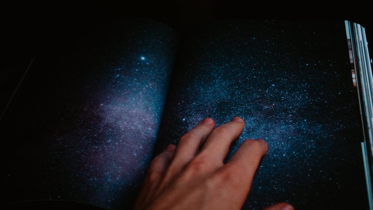 maxluedi tweet media