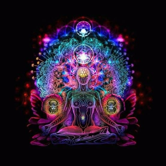 sanjivanibooti's tweet photo. what if ayurveda is’nt isolated as ‘alternative’ medical system but primary system for all non-critical patient. That would heavily reduce drug consumption and overall health of nation. All doctors shall learn #ayurveda as part of MBBS curriculum. #day38oflockdownay https://t.co/1WqOck88Y5