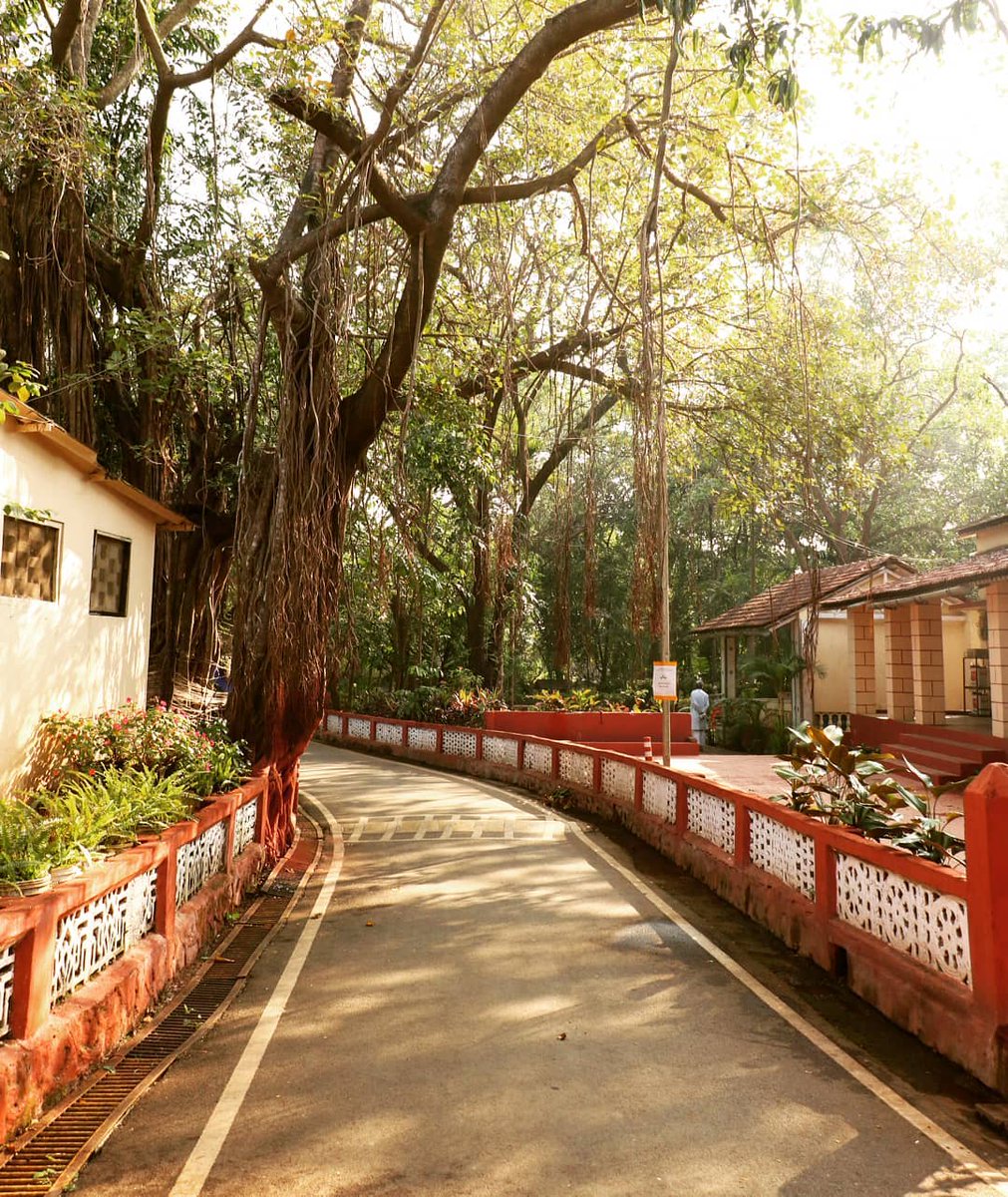 kdhamyoga's tweet photo. Every new day begins with possibilities.

#stayathome #staystrong #kdham #kaivalyadhamayogainstitute #nature #yoga #innerpeace #knowledge #yogaeducation #yoga
#kdham #nature_perfection #yogatherapy #wild #kaivalyadhamayogainstitute #meditation #yogalife #healthyliving #yoga #natu https://t.co/XPBa5gpKug