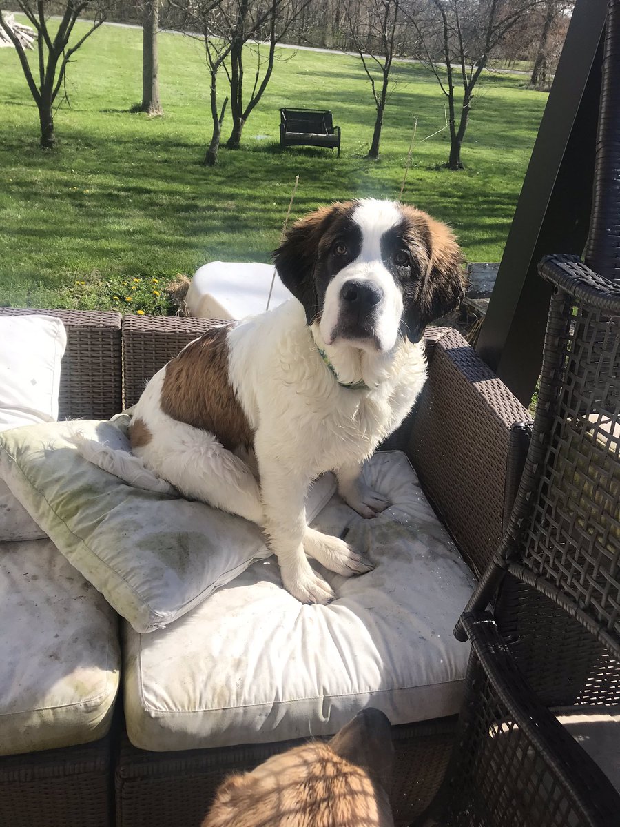 Almost 6 months Later🙊😢