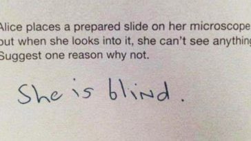 Steven Universe characters as incorrect test answers, A THREAD
