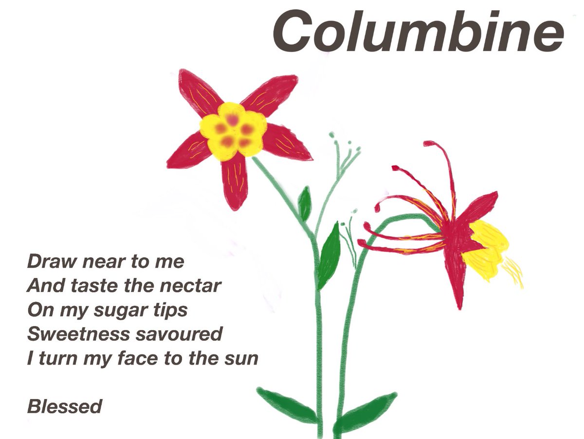 Airyellit's tweet photo. #flowerpoetry #Mayfloweradaypoem #poetryandpainting #verselife #twitterpoem #poem #flower #arttherapy #heartSpace #flowerprompt https://t.co/LWIWagrCmM