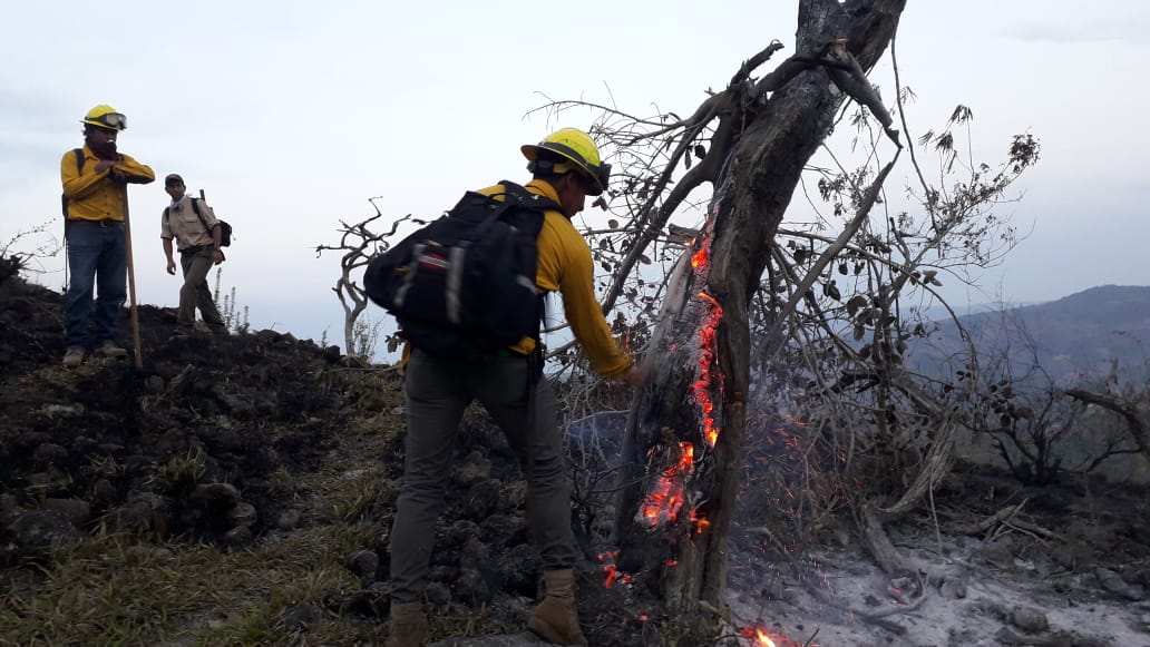 CONAPgt's tweet photo. #ConapSuroriente
Personal de la Dirección Regional Suroriente del CONAP, en segundo día de combate y control de incendio forestal registrado en la Zona de Veda Definitiva Volcán Chingo, Jutiapa.
¡Sin incendios forestales hay más vida! https://t.co/i9laoUBJss