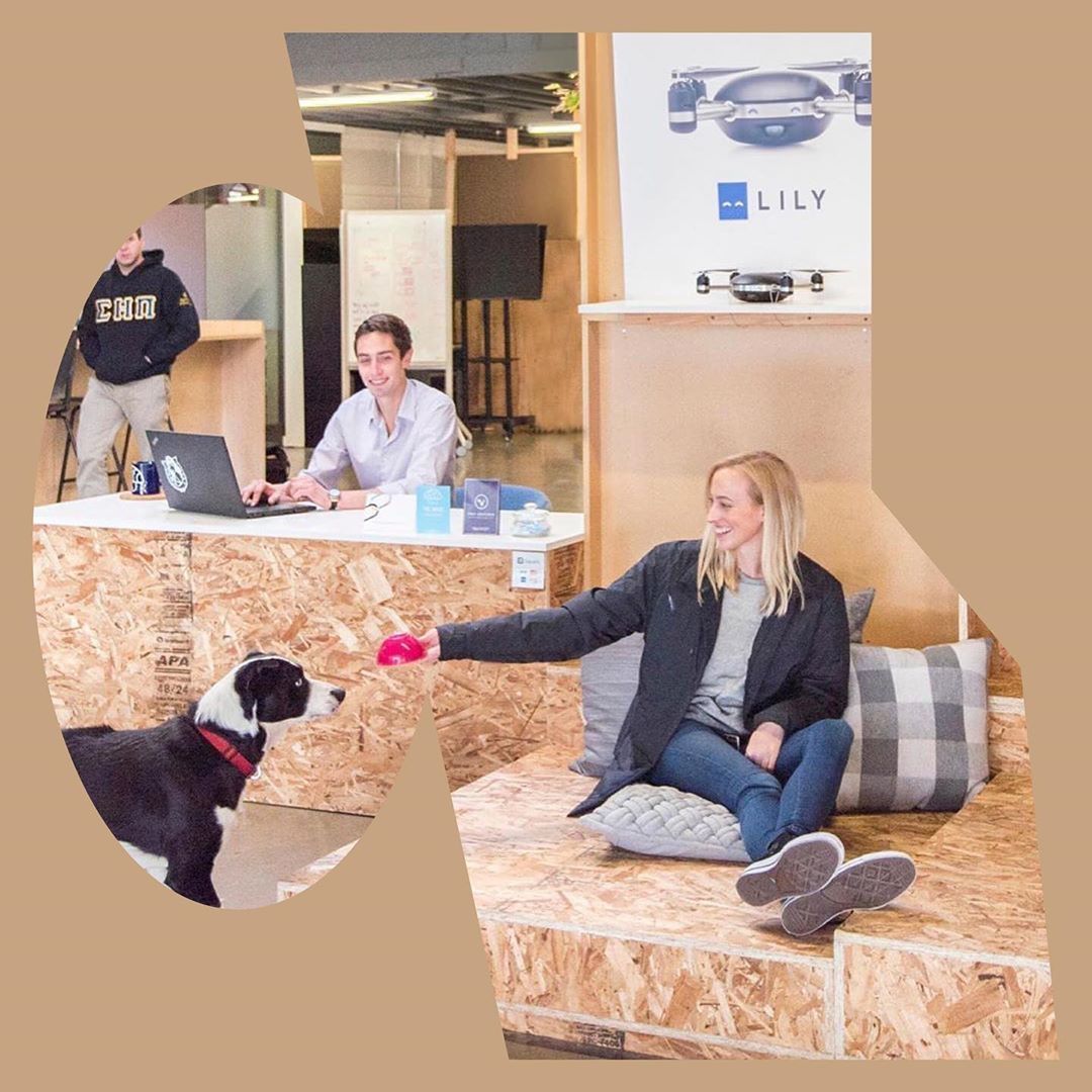 DesignApplause's tweet photo. Application deadline has been extended to 15may for @sfdesignweek virtual studio crawls.
#fenniemehl has joined the list of participating studios. #unexpectedbydesign #studiocrawl2020 #SFDW #sfdesignweek #community #virtual #thisislandscape" https://t.co/eDzZ4b1TvT