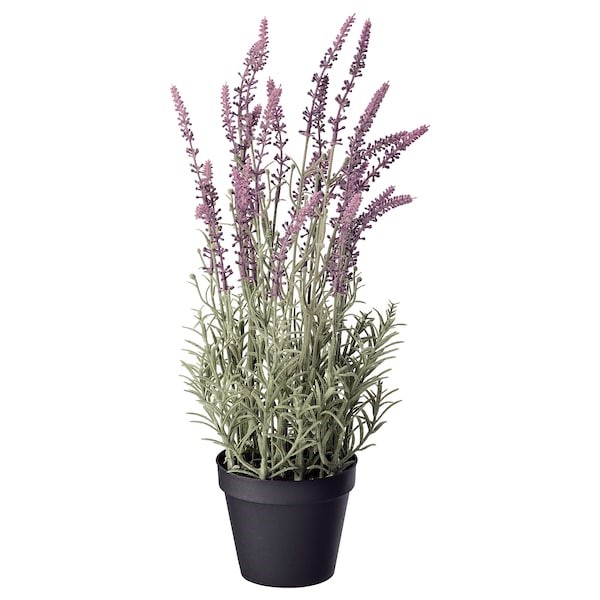 Ikea Tokyo Bay 公式 おうちの中に植物 があると気持ちも明るくなりますよね でもガーデニングは苦手 という方にオススメなこちら 枯れる心配も 新たに買いに行く手間も省けるオシャレアイテムです Fejka フェイカ 人工観葉植物 ラベンダー Ikea Tokyo Bay 公式 おうちの中に植物 があると気持ちも明るくなりますよね でもガーデニングは苦手 という方にオススメなこちら 枯れる心配も 新たに買いに行く手間も省けるオシャレアイテムです Fejka フェイカ 人工観葉植物 ラベンダー