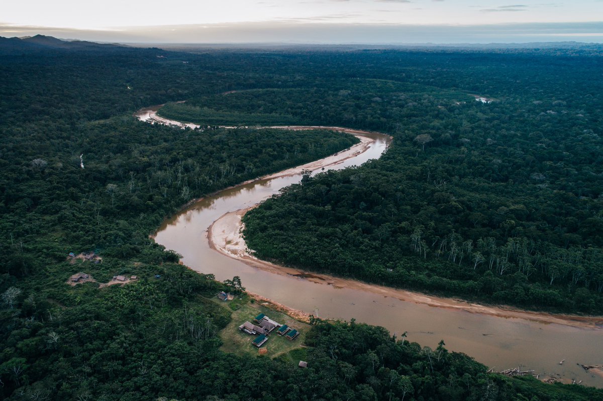 jungleangler's tweet photo. There are dorado out there — I can't wait to get back!
Ph: Nick Kelley 
#flyfishing #untamedangling #tsimane #tsimanelodges #flyfish #jungleangling #jungleflyfishing https://t.co/uqTDwg3DU8