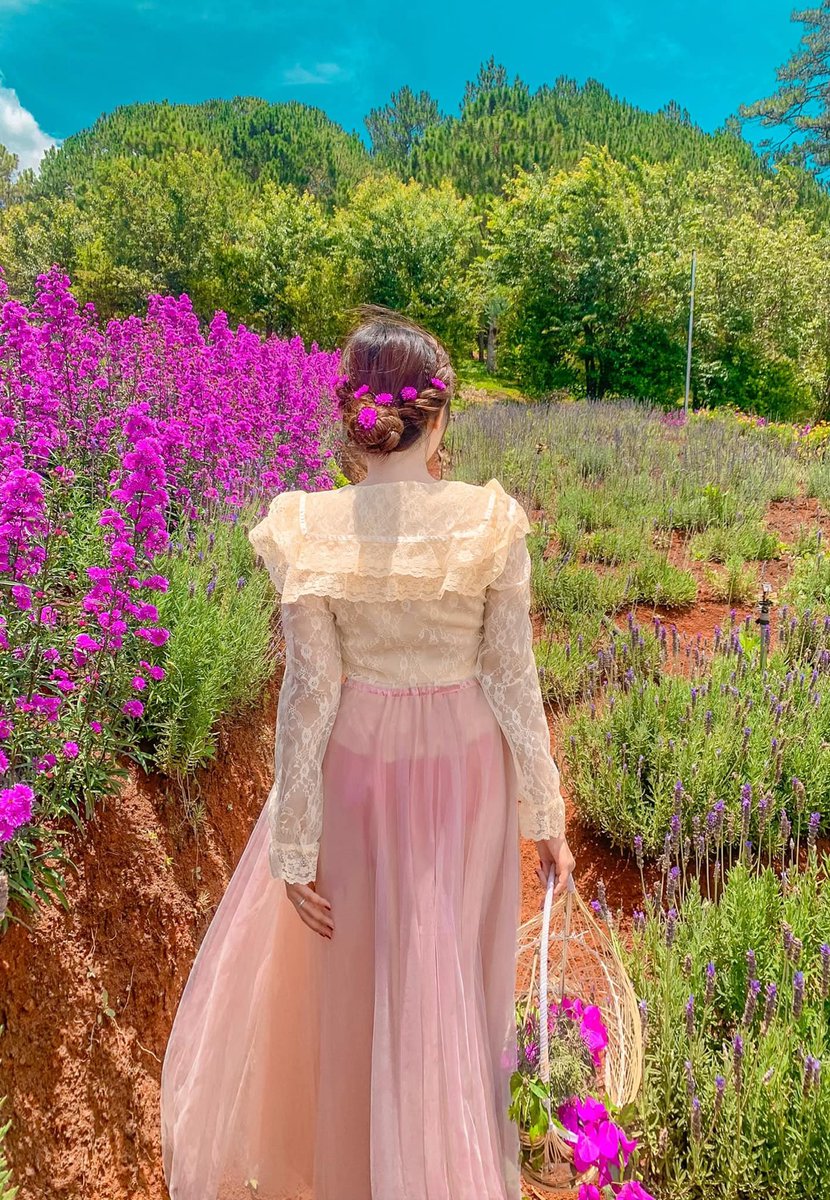 dlgiadinh's tweet photo. Lên Đà Lạt để làm nàng thơ 😍
Địa chỉ: Lavender Garden. Giá vé: 50k/ người nha cả nhà.
#ghiendalat
#dalat
#giadinhtour
#dulichgiadinh
#nhumotgiadinh https://t.co/WWsxBve6is