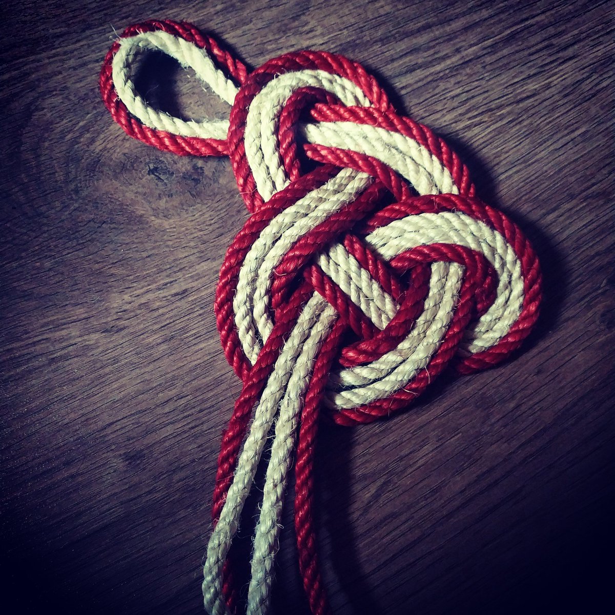 Berilioartshiba's tweet photo. Atando ando, el arte japones del Mizunjiki. Ancestral, primero que el hojojutsu y pasado del Shibari. #quedateencasa #quarantinecollection https://t.co/DRiNv5G7O3