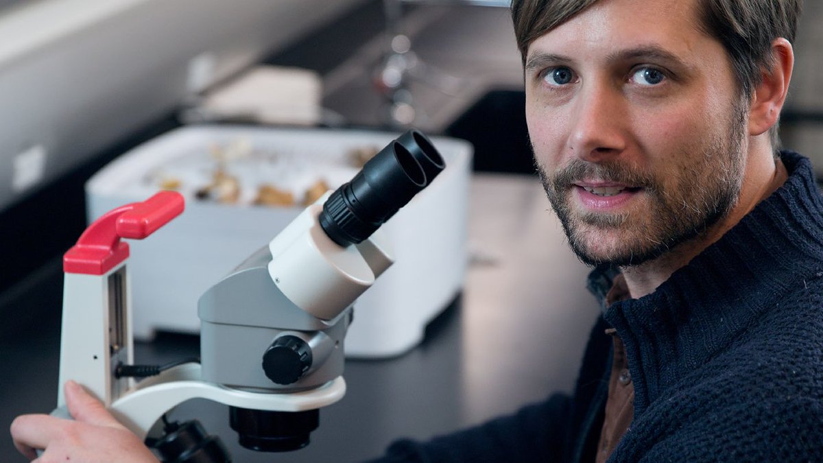 You know #mushrooms are delicious, sure, but that's just scratching the surface. Learn more about the fascinating world of #fungi Monday morning at 11am MDT when <a href="/NHMU/">NHMU</a>'s curator of #mycology answers your questions on Research Quest Live: bit.ly/2WoWyC9